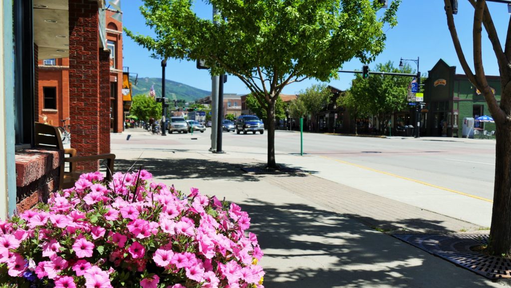 Steamboat Springs gets grant for more trees - Vimarsana News