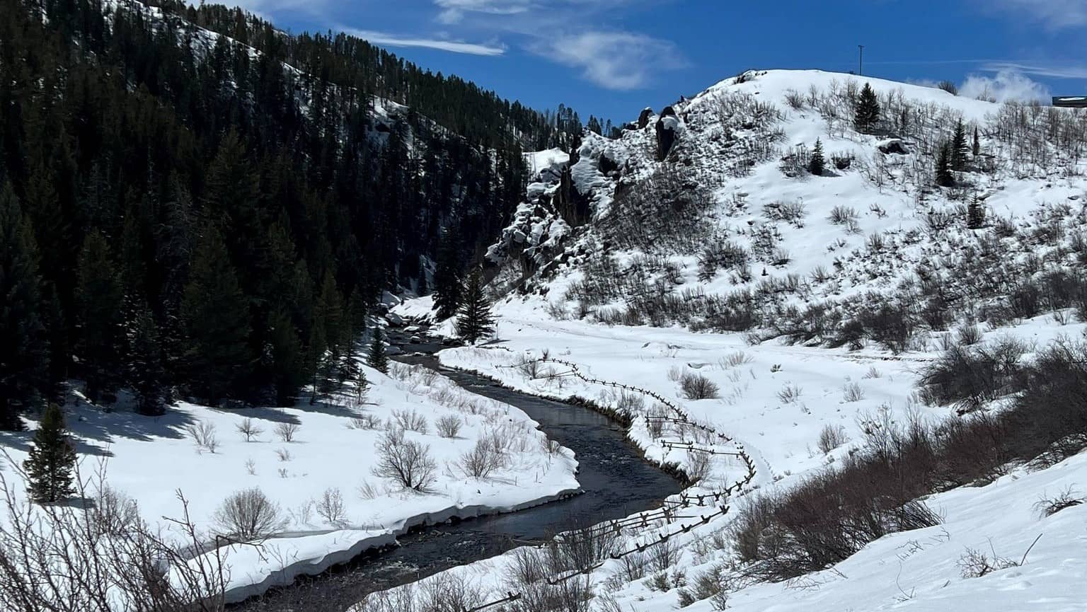 Emergency Fishing Closure Coming for Yampa River