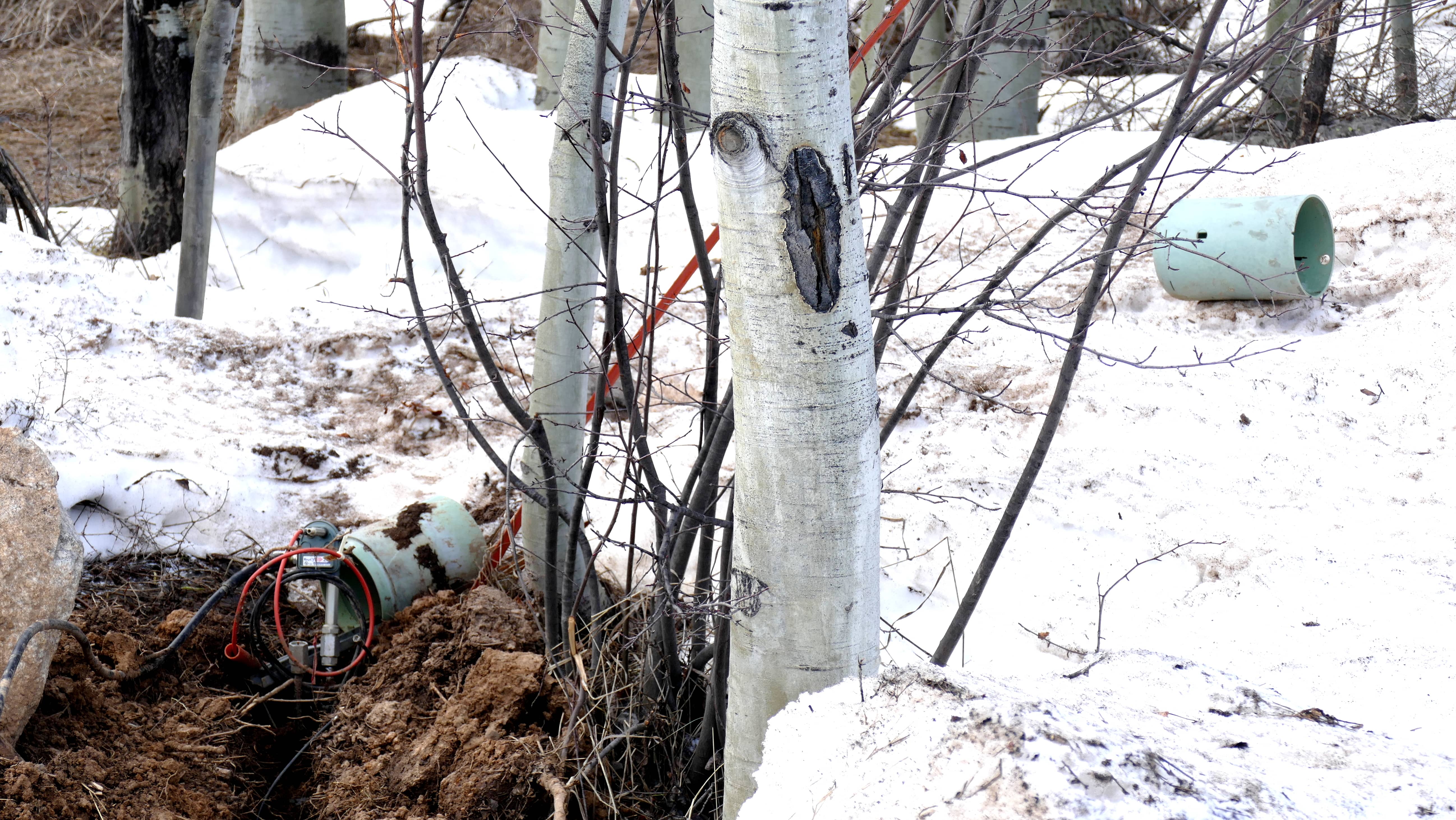 damaged-boxes-after-snow-022