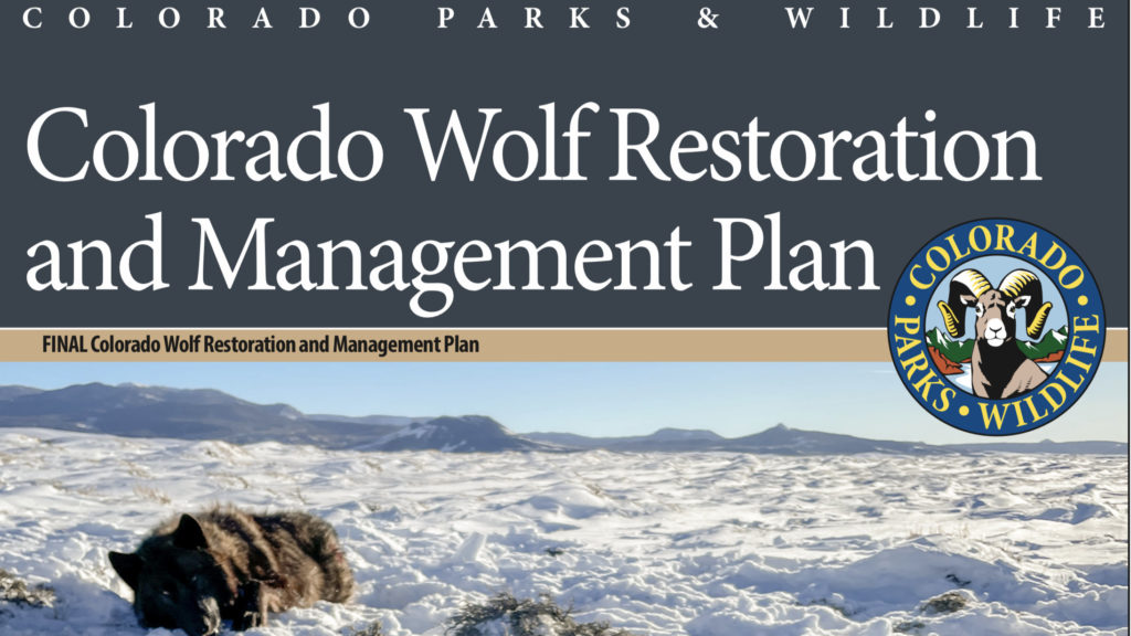 CPW Commission approves final Wolf Restoration and Management Plan - Vimarsana News