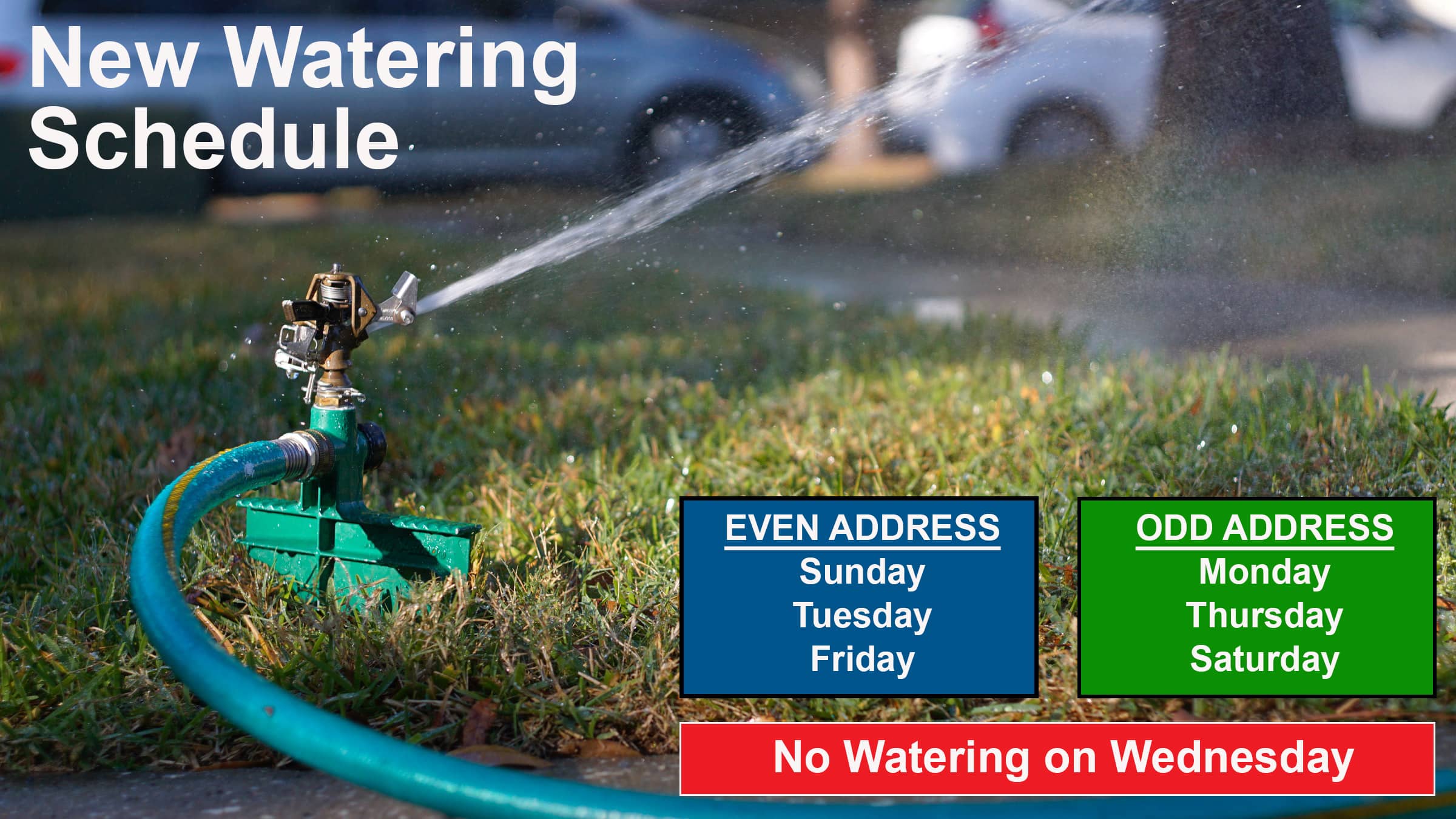 watering-schedule-002