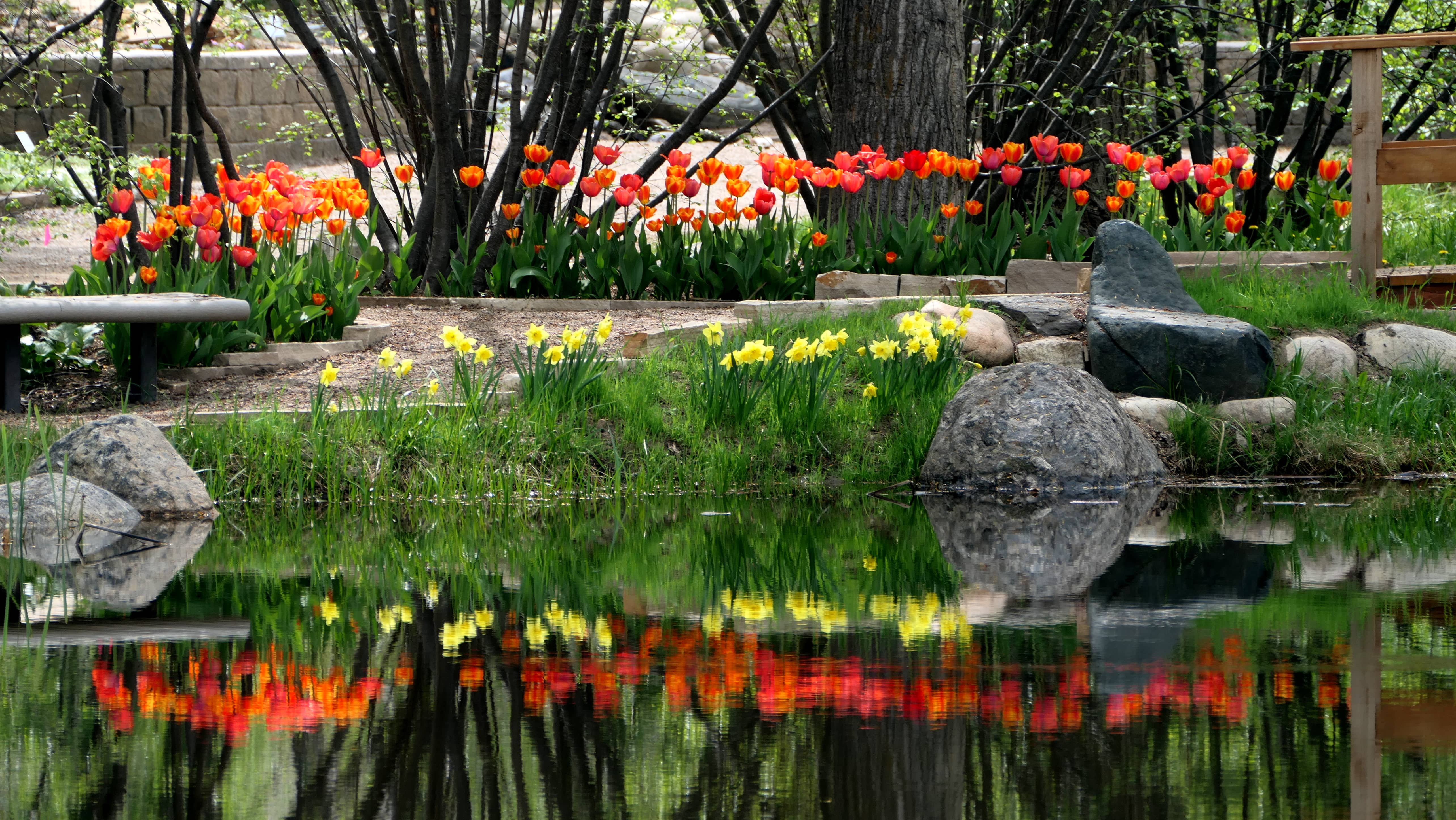 yampa-river-botanic-park-may-24-2023-009