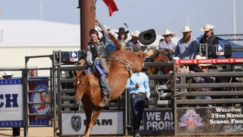 kael-mccarty-from-accentric-rodeo-2