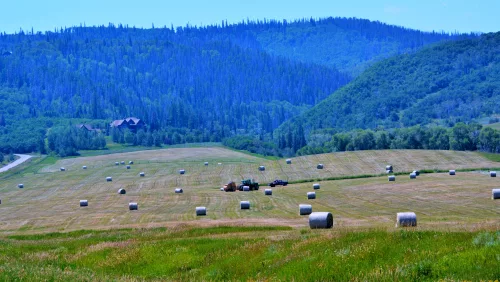 haying-season-in-routt-county