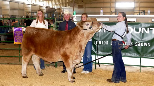 routt-county-fair-2023-beef-614-kimberly-gray