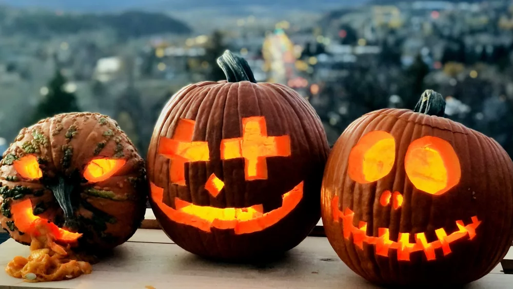 pumpkins-steamboat-courtesy-wendy-harvey-002