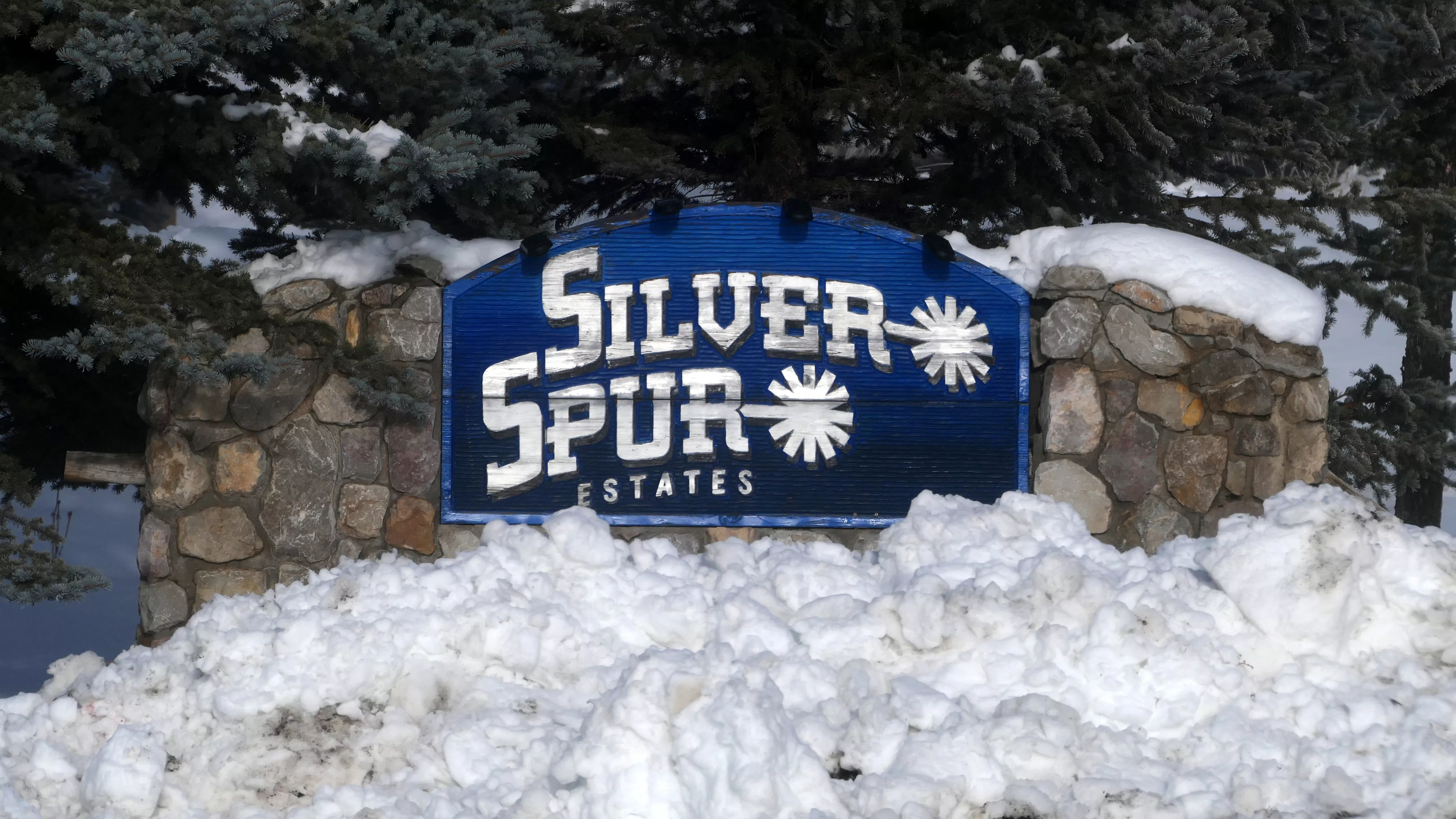 silver-spur