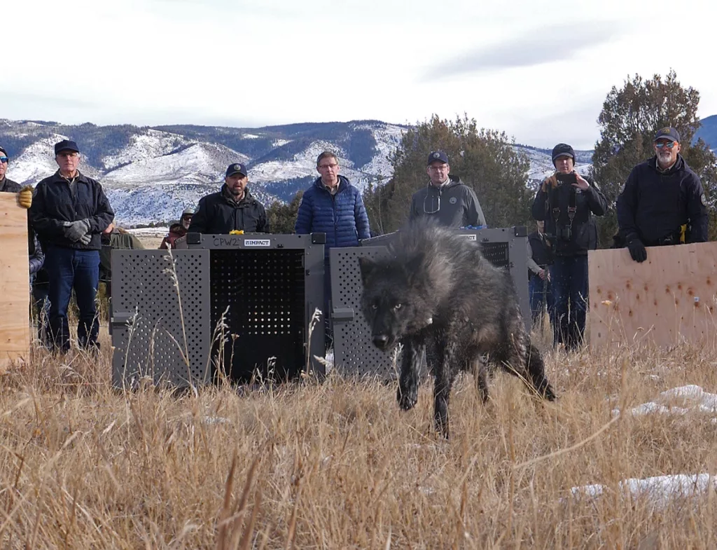 SOW: Central High senior sets sights on career in wildlife management, Western Colorado