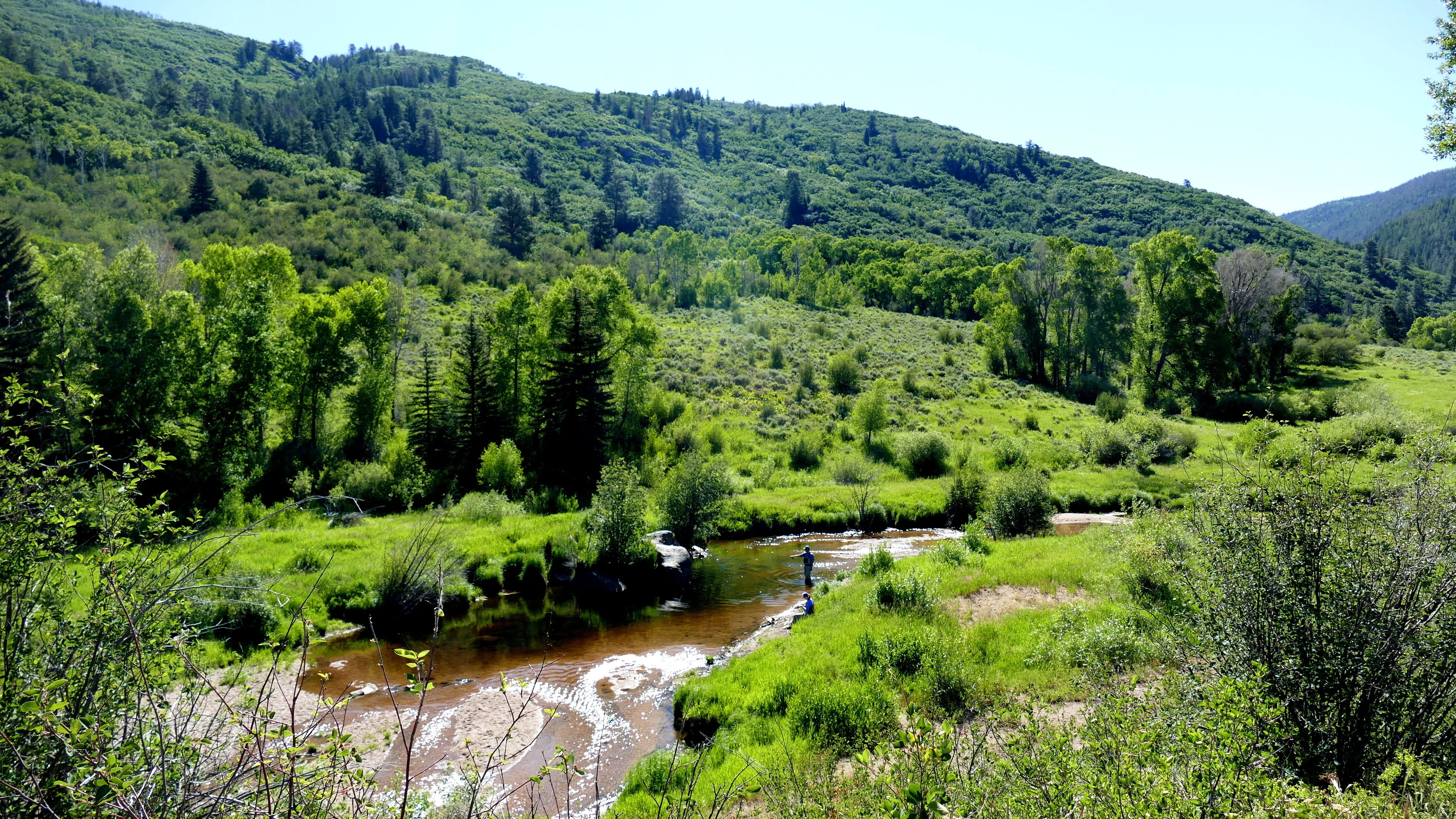 fishing-sarvis-creek-024-slider