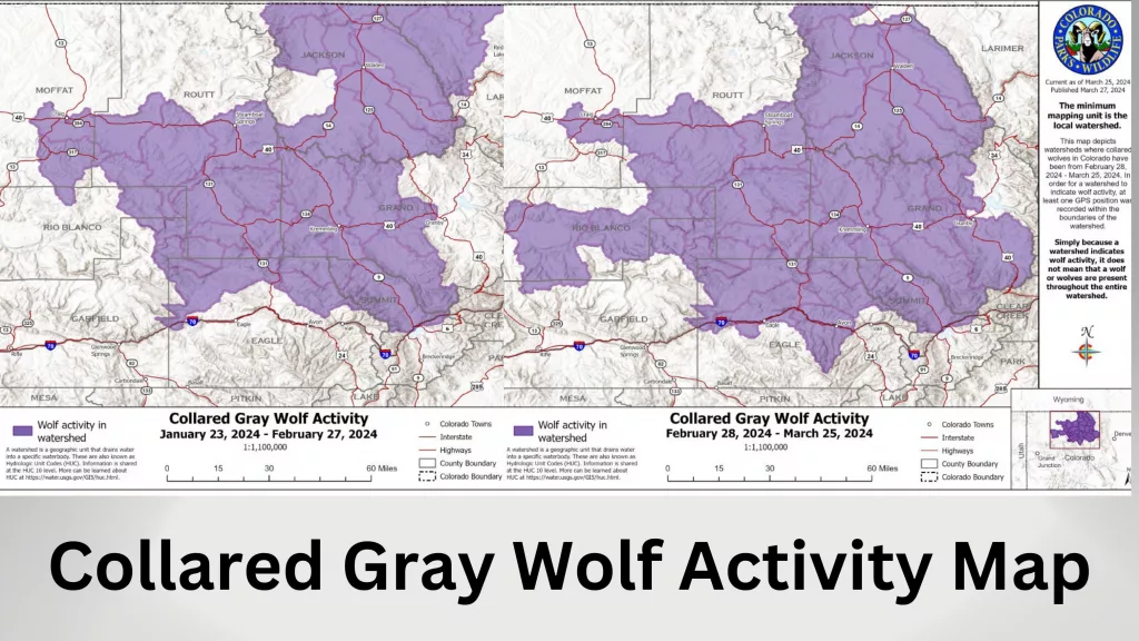 CPW releases new map on Collared Gray Wolf Activity | Steamboat Radio