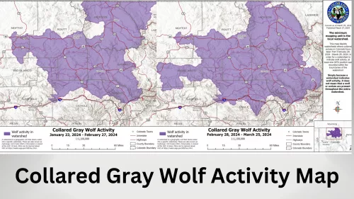wolf-activity-map-feb-to-march-2024-2