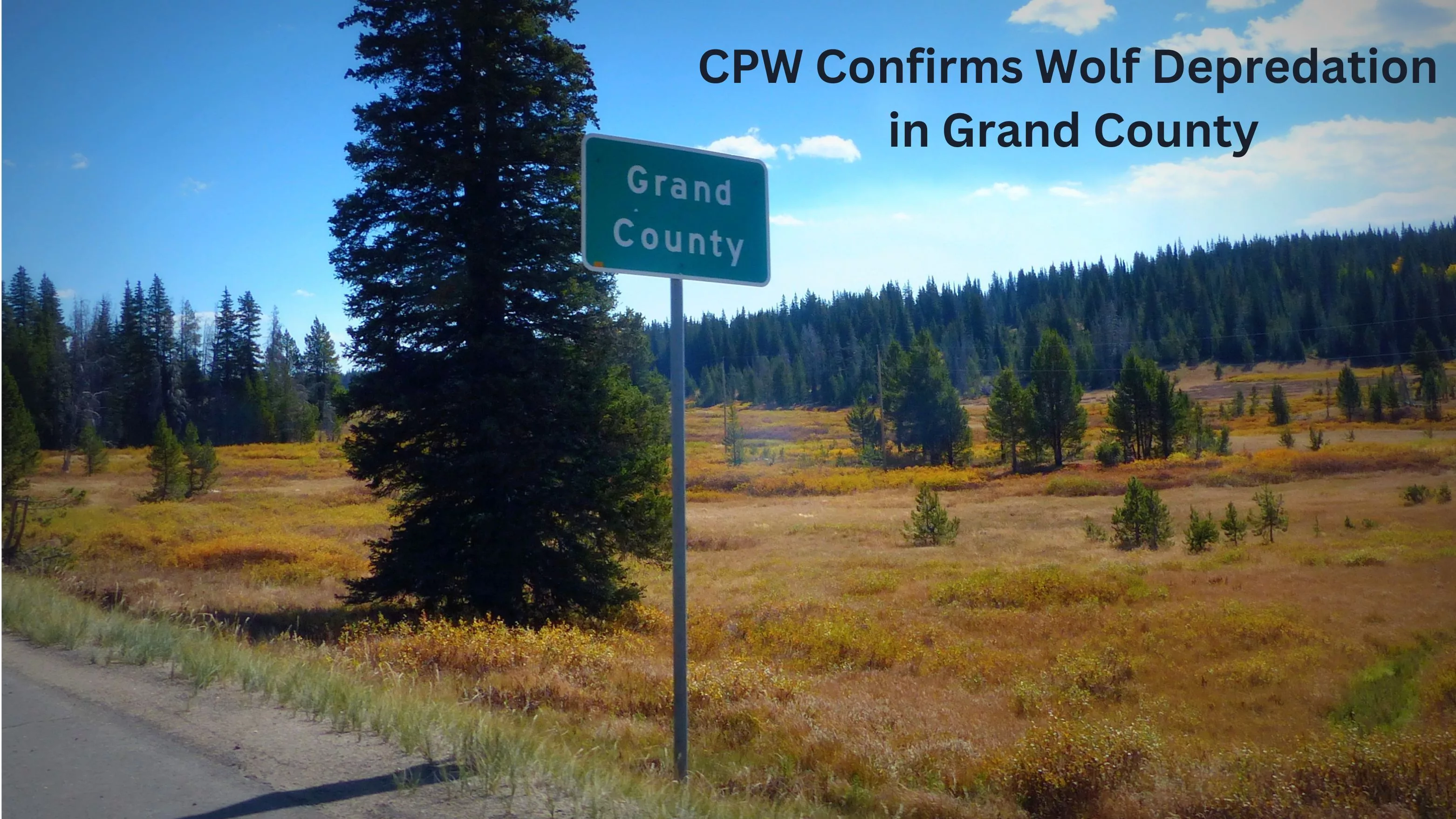 grand-county-wolf-depredation-1