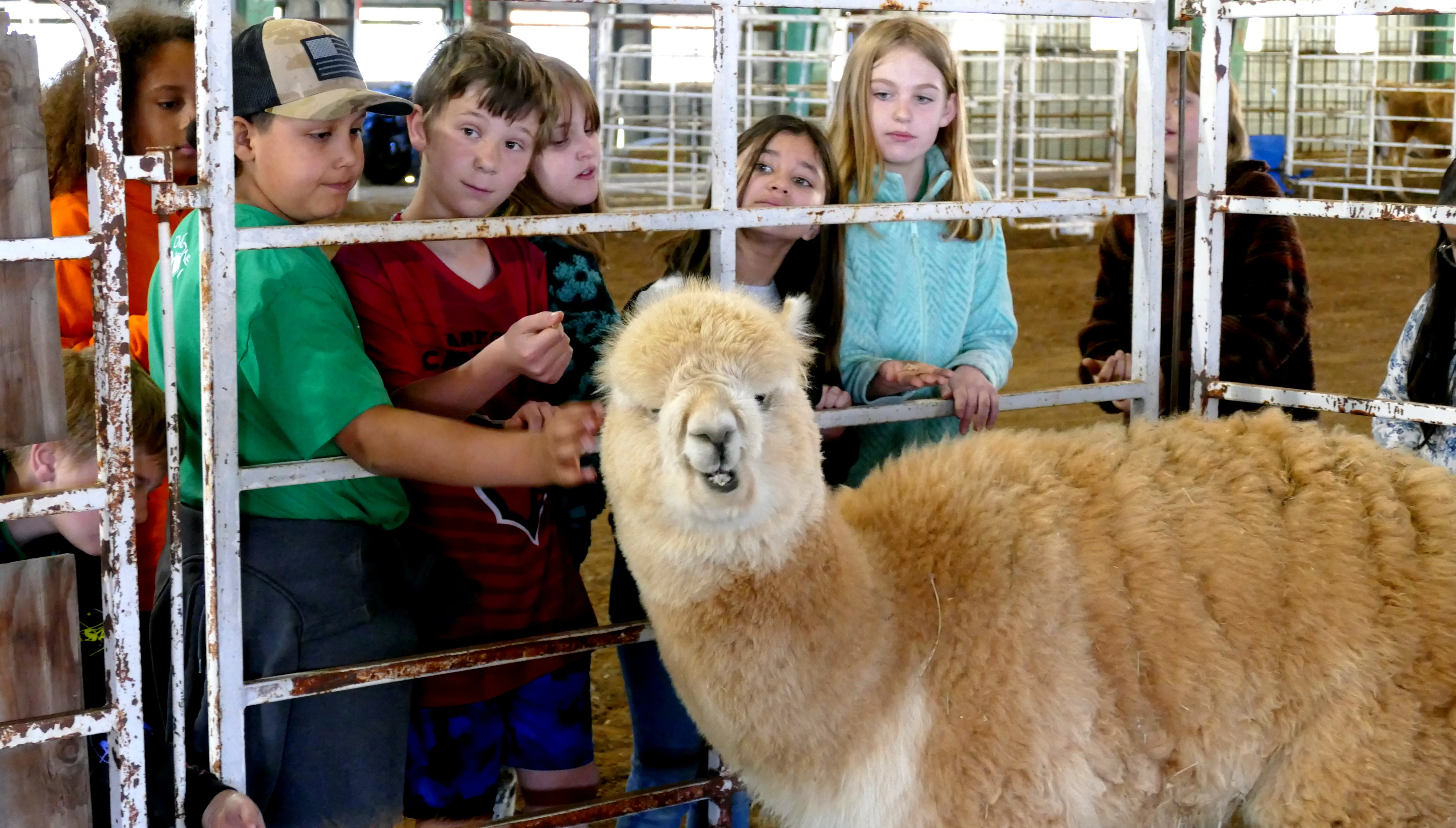 moffat-county-4th-grade-ag-day-045