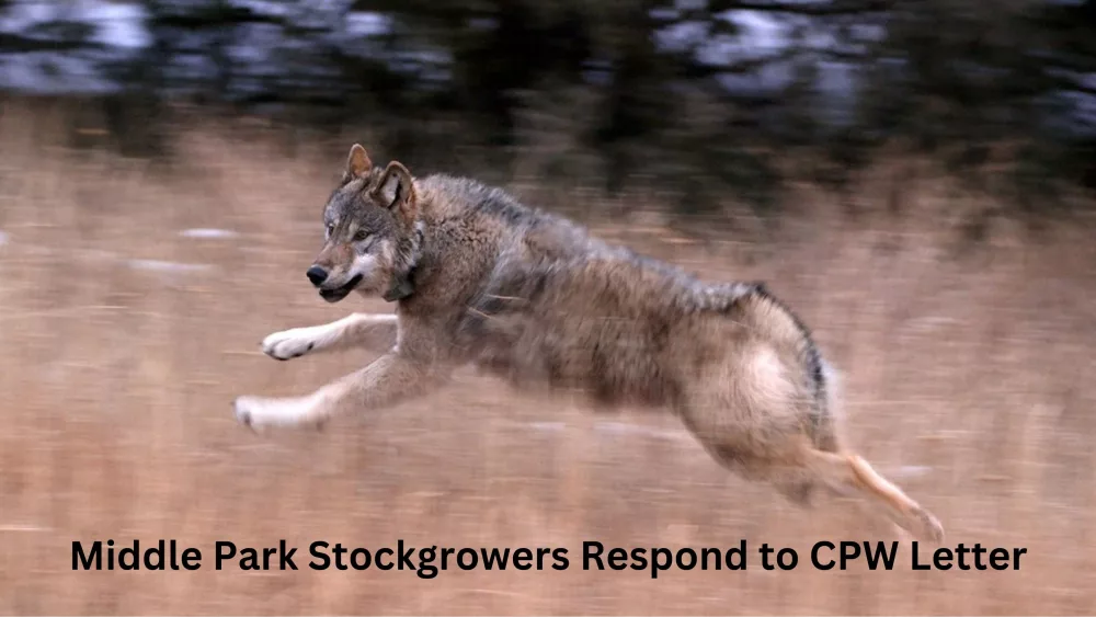 middle-park-stockgrowers-respond