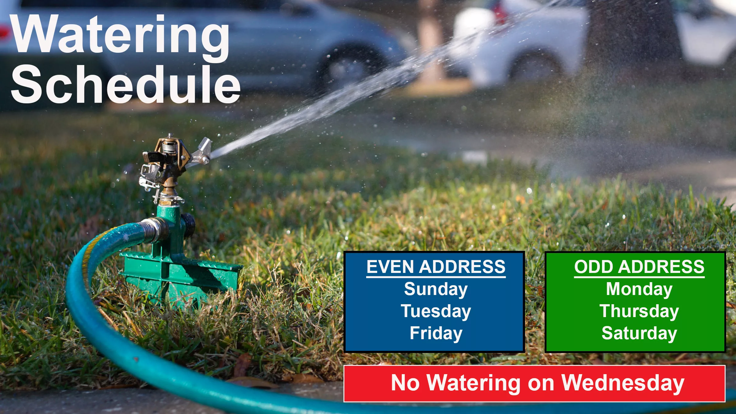 watering-schedule-24-2