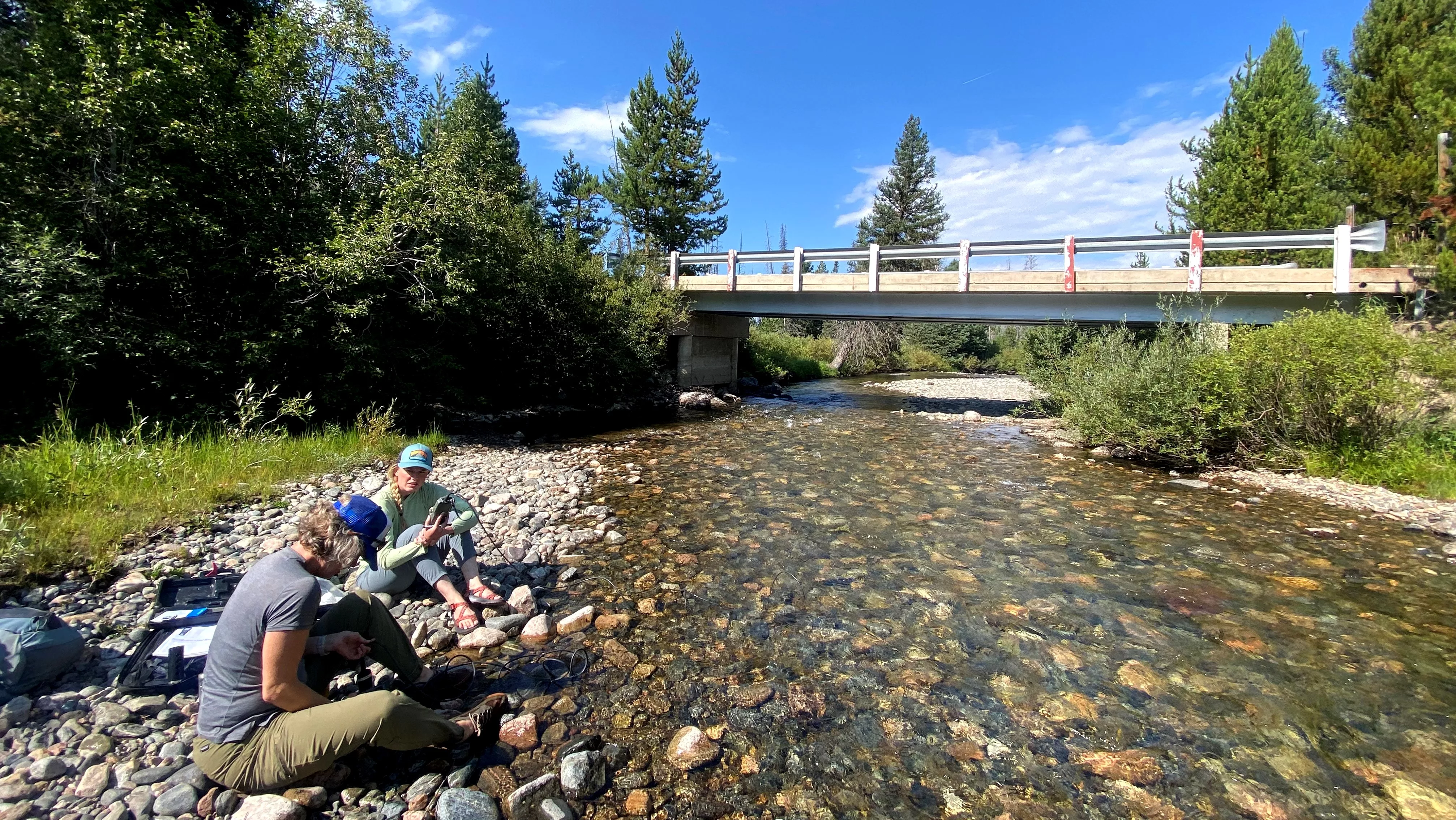 yampa-river-from-friends-of-the-yampa-jpg