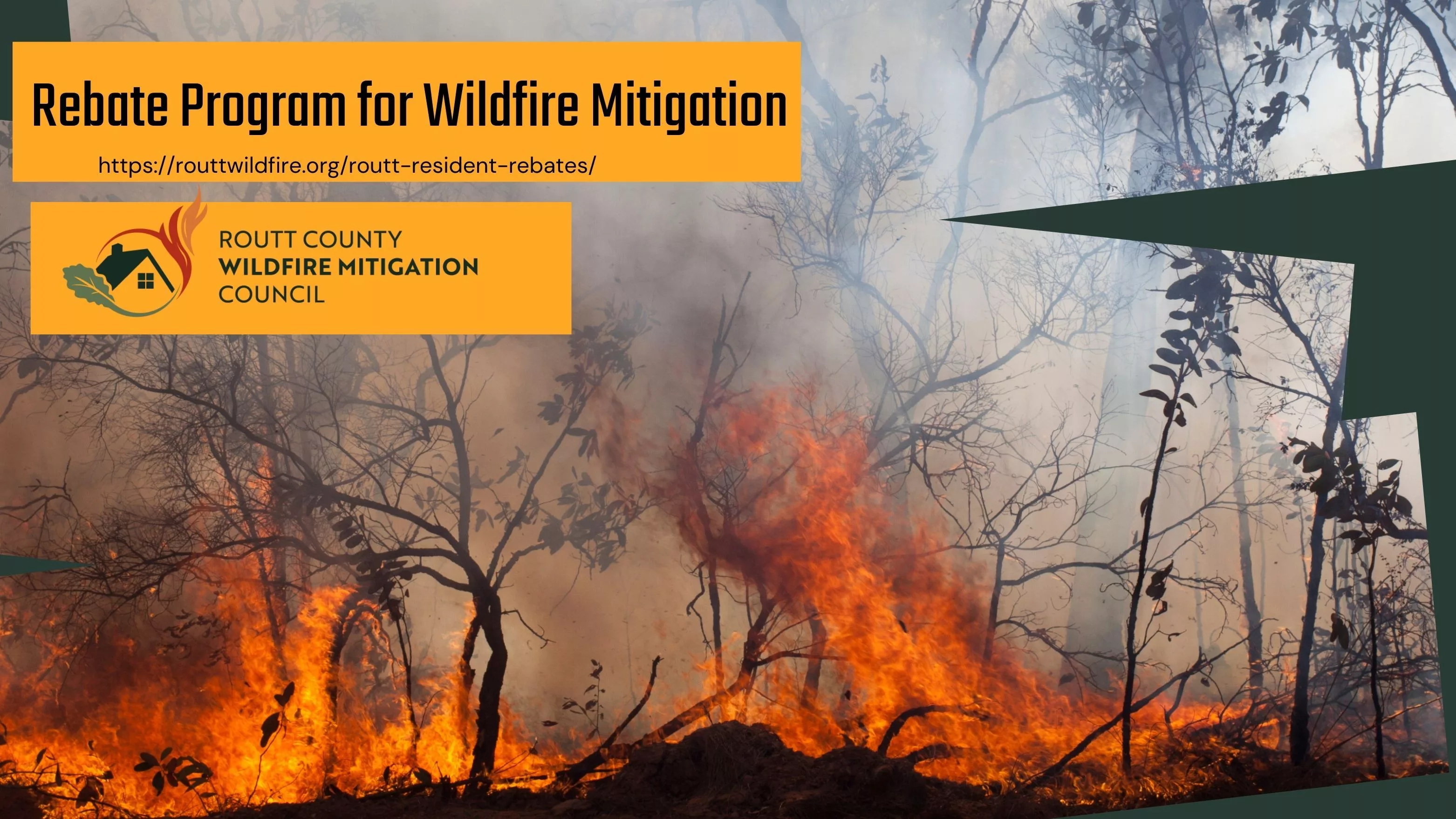 routt-county-wildfire-mitigation-rebate-program-for-wildfire-mitigation