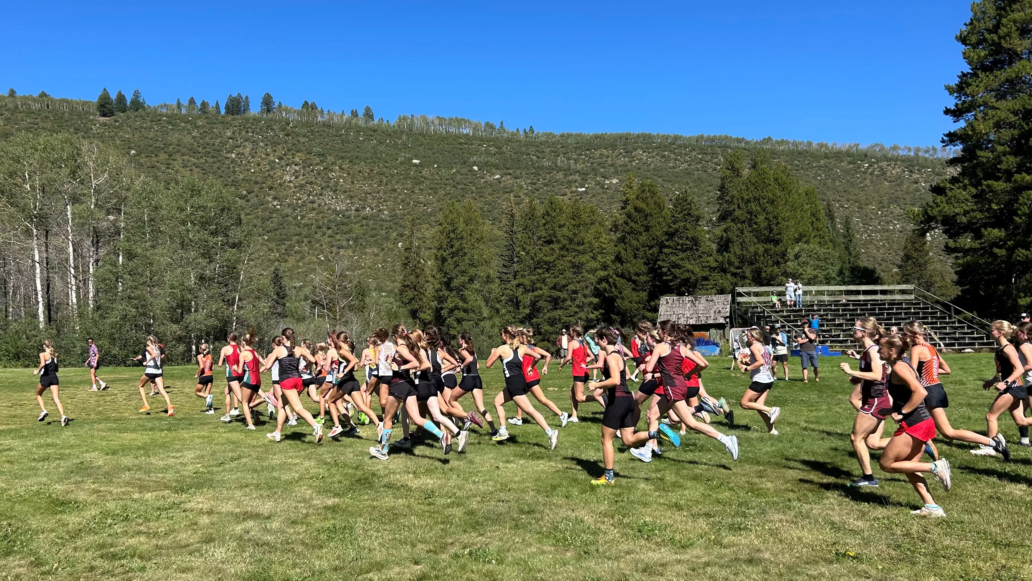 2024-sshs-cross-country-from-artemis-hamrick-varsity-start-ladies