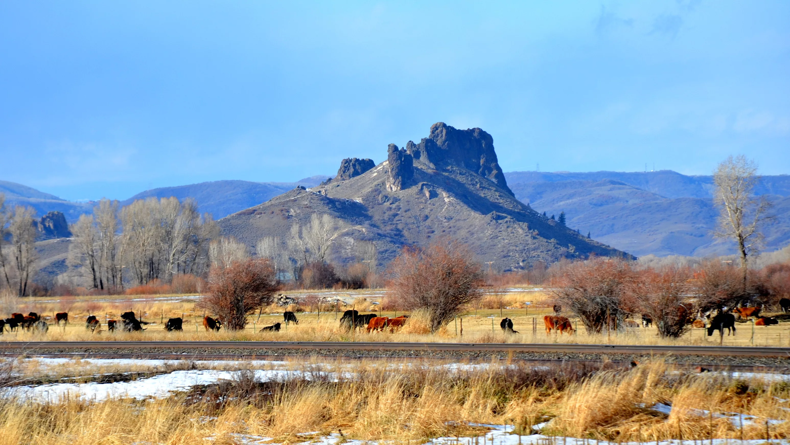 ranch-cows-hwy-131-nov-3-2013-004-slider