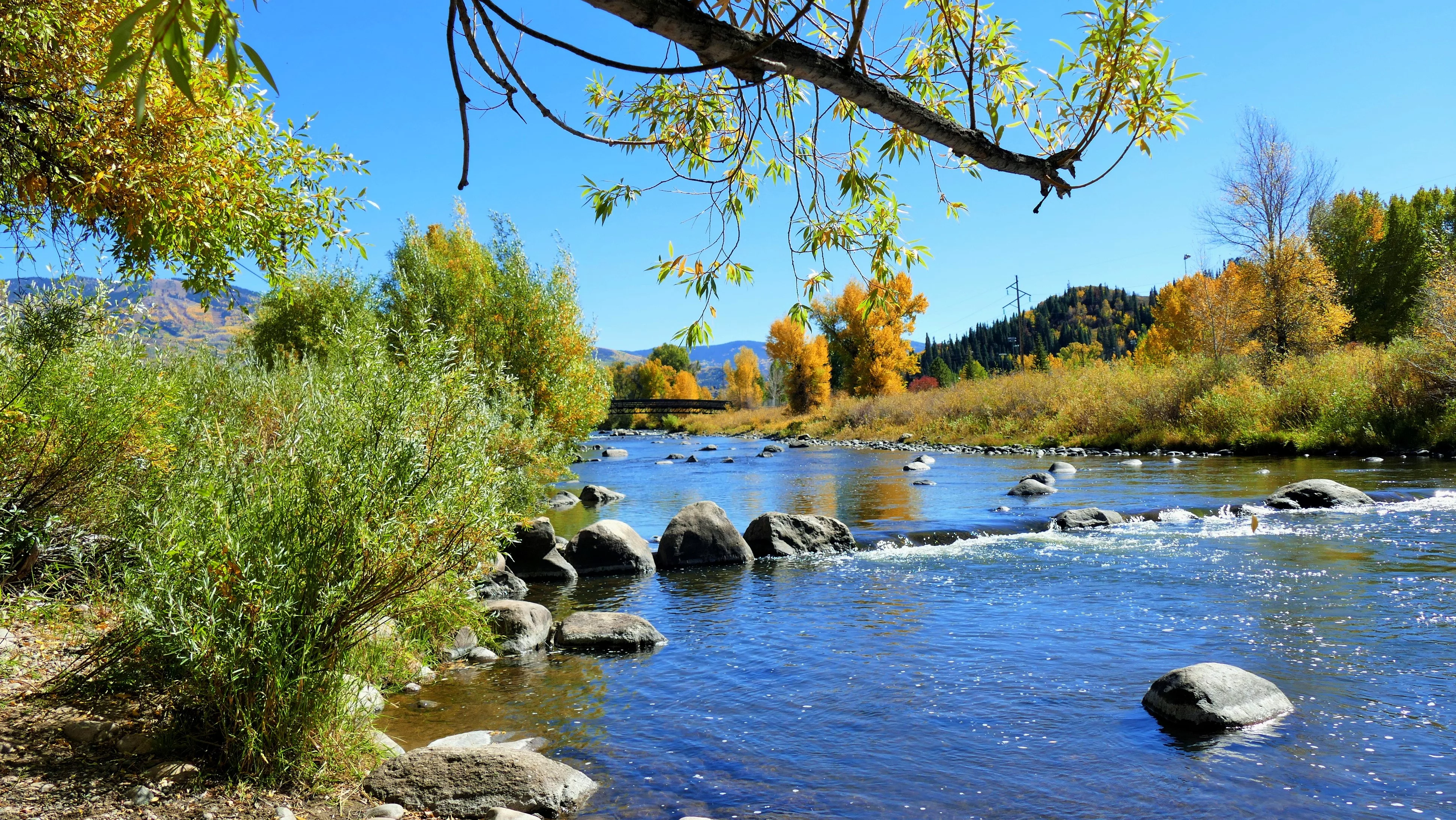 yampa-river-in-fall-slider