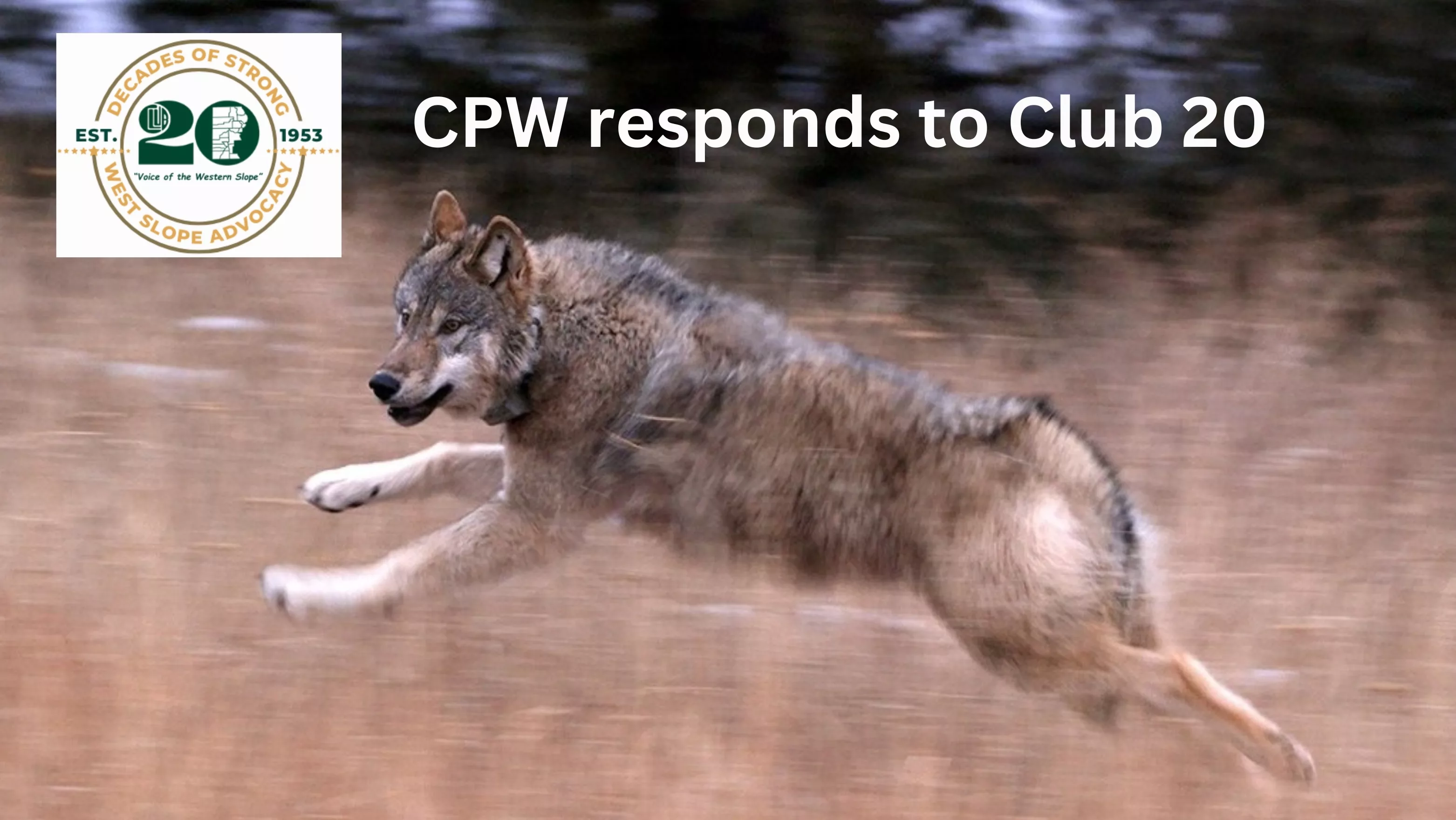 club-20-response-from-cpw