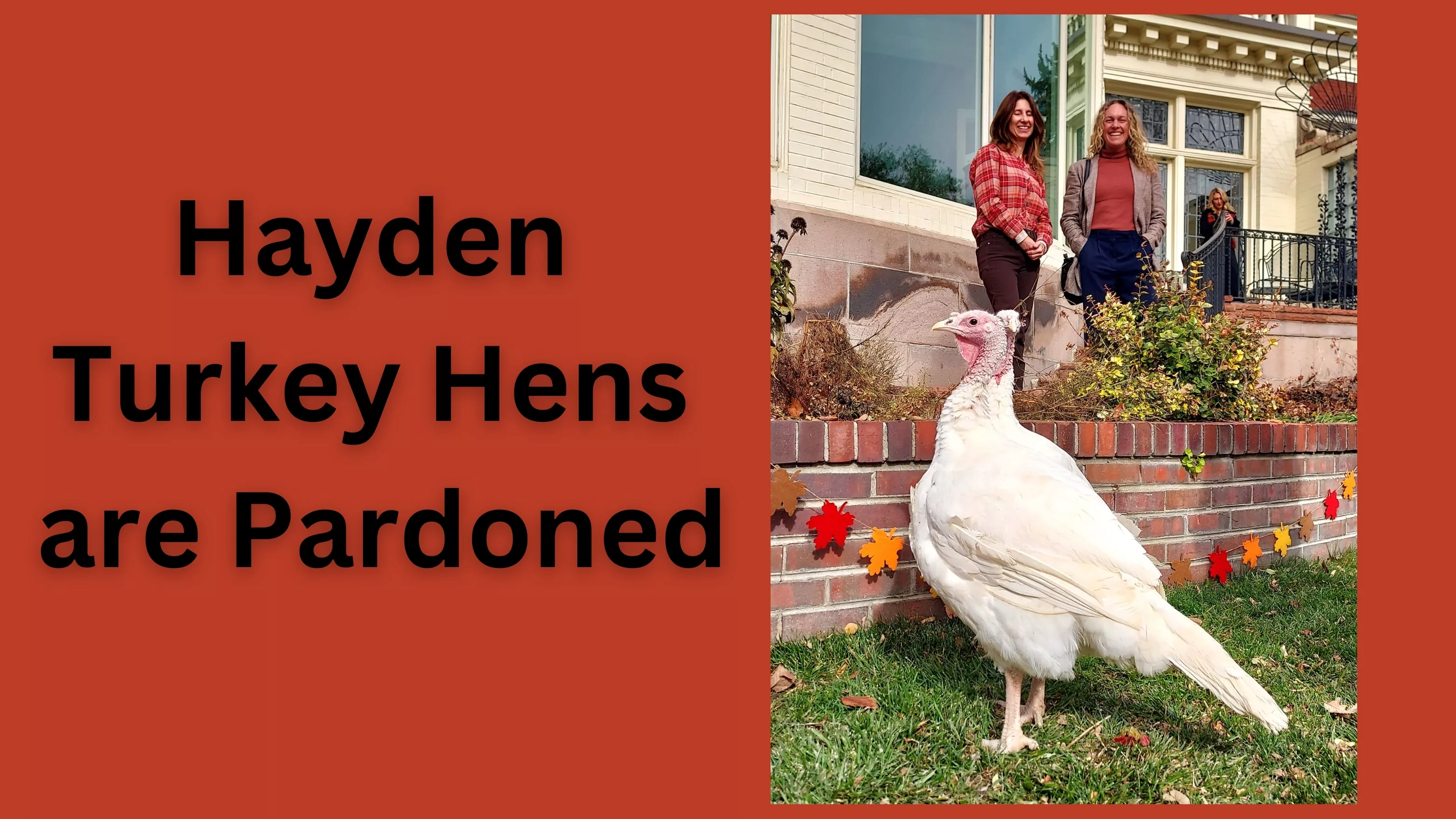 turkeys-pardoned-2024-with-michelle