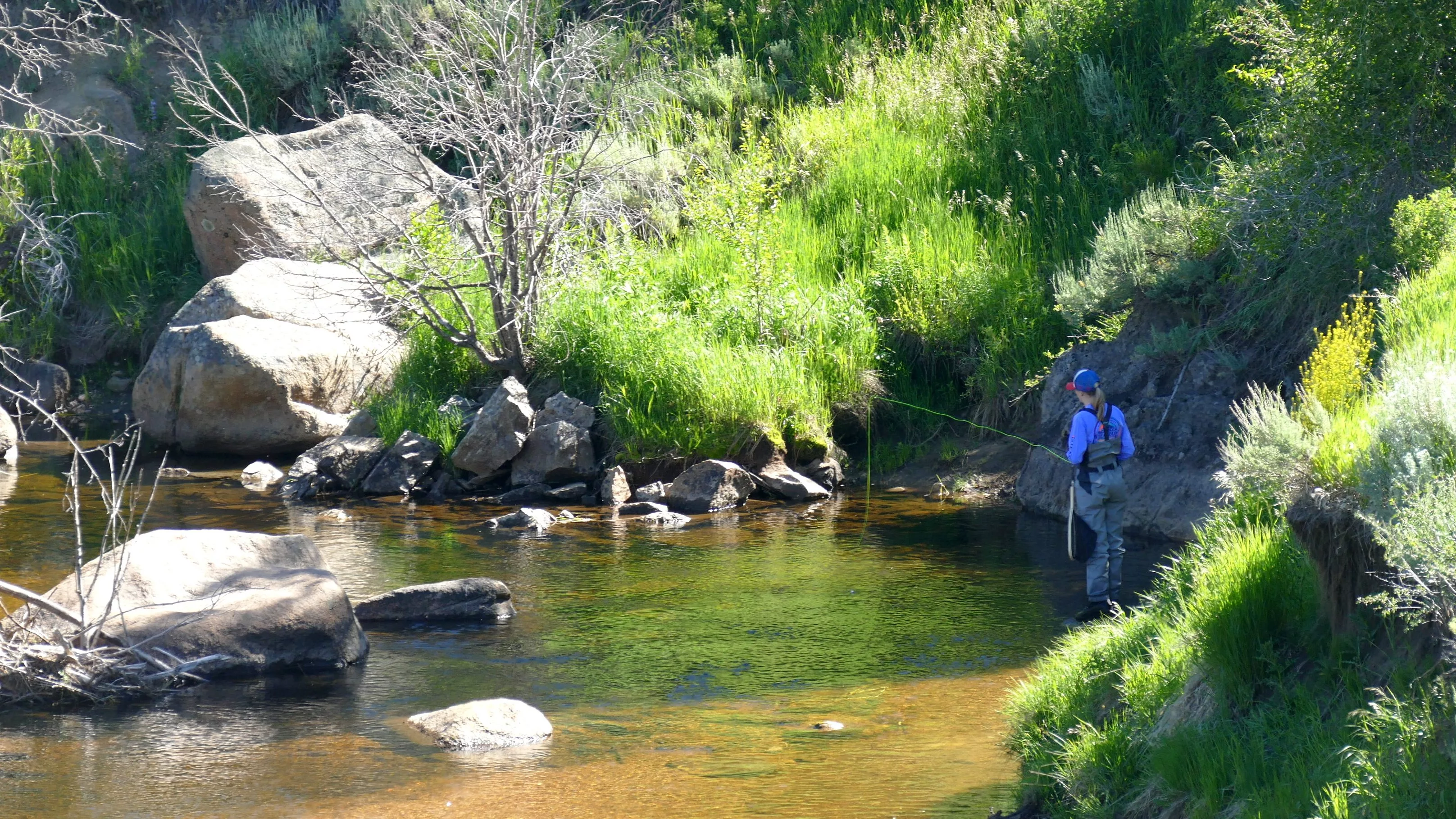 fishing-sarvis-creek-030-slider