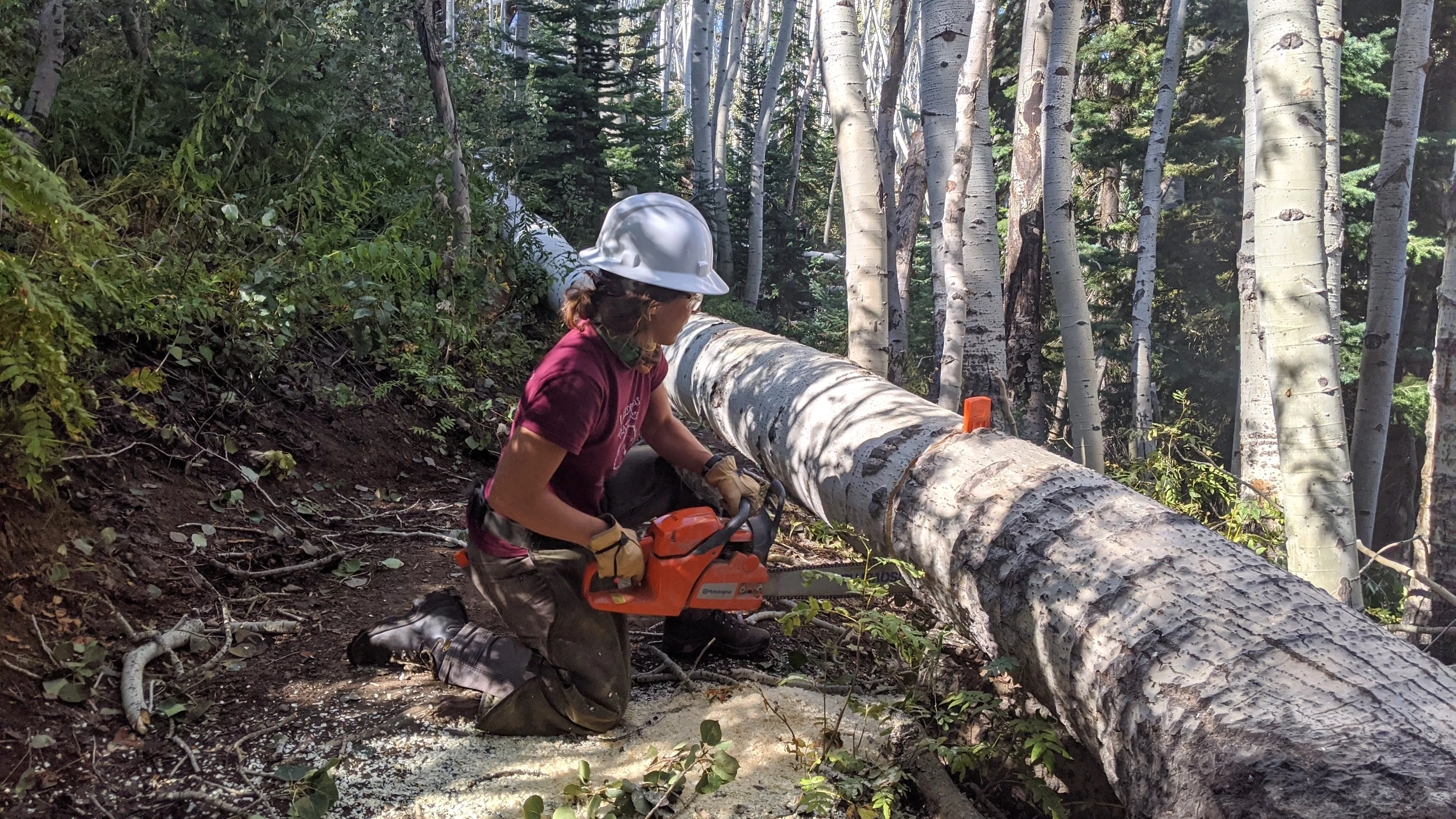 routt-county-riders-trail-work-crew-3-slider