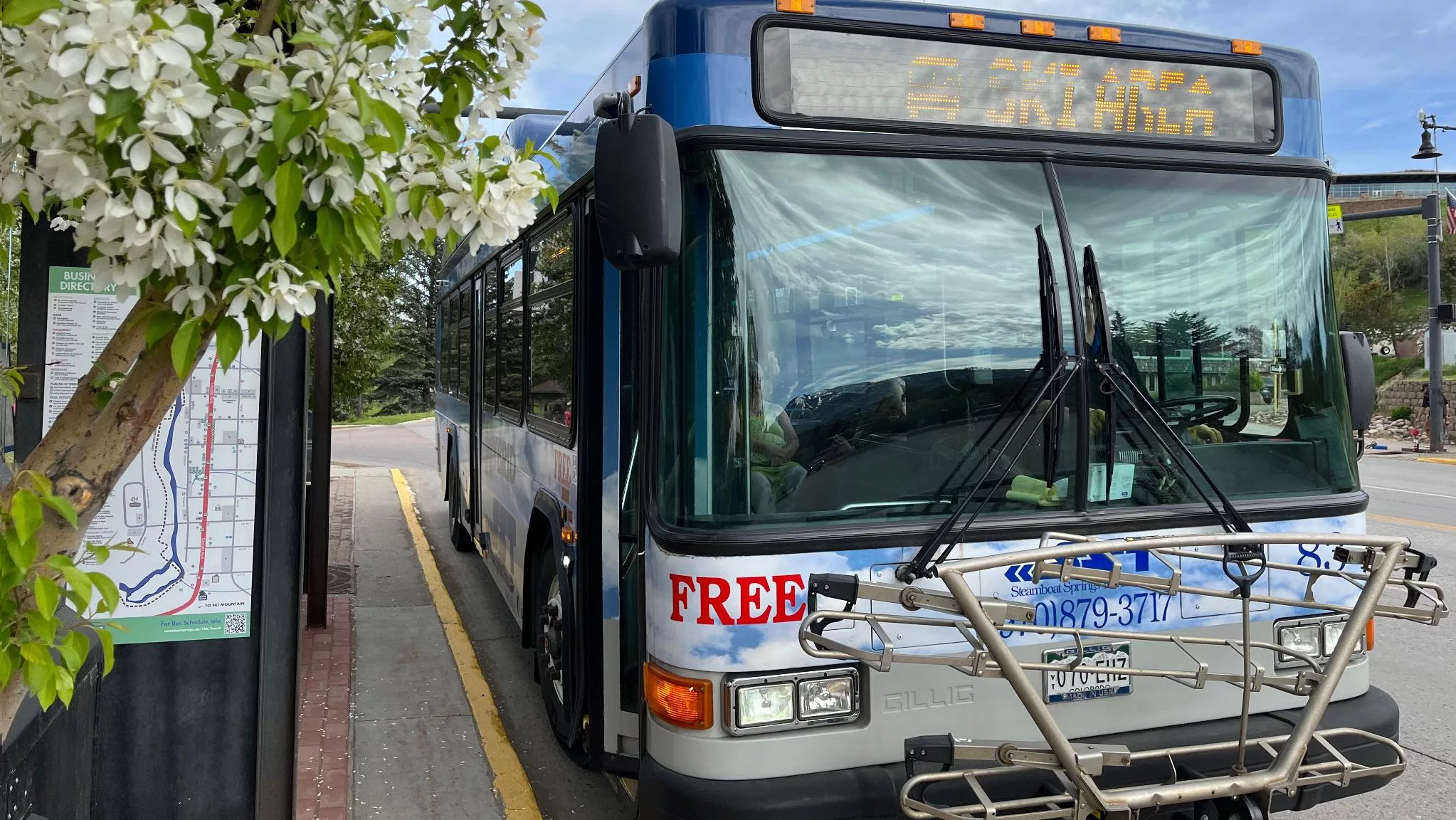 summer-bus-tree-buds-002-slider