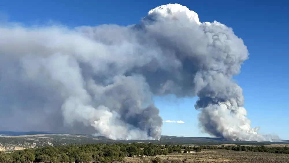 lee-and-grease-fires-nwd-slider-2