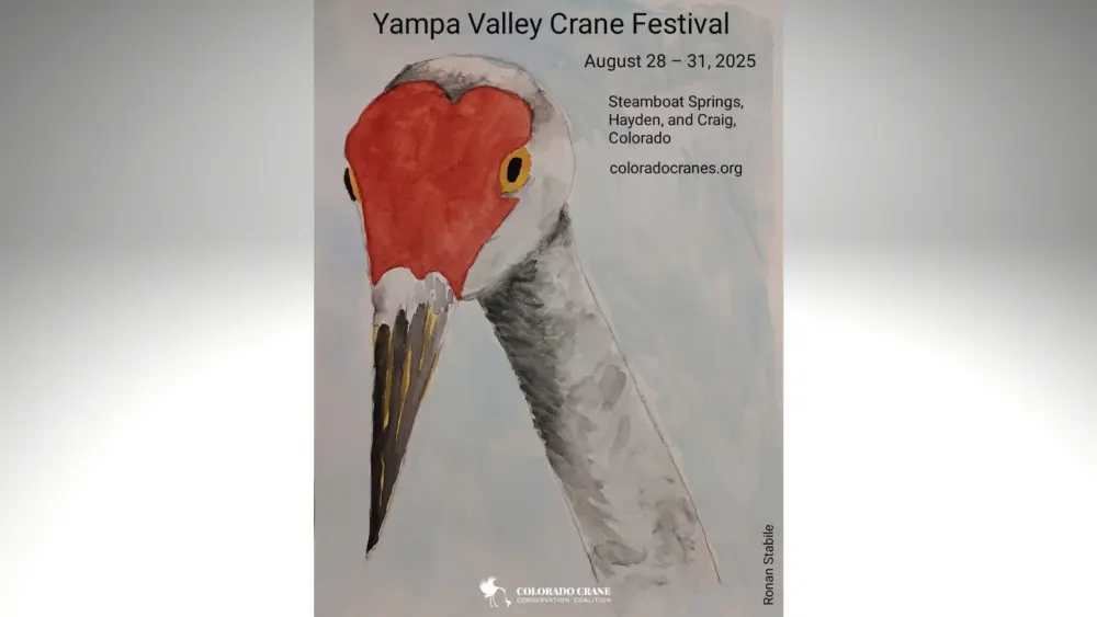 crane-festival-2025-slider