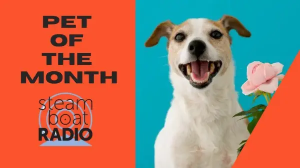 pet-of-the-month