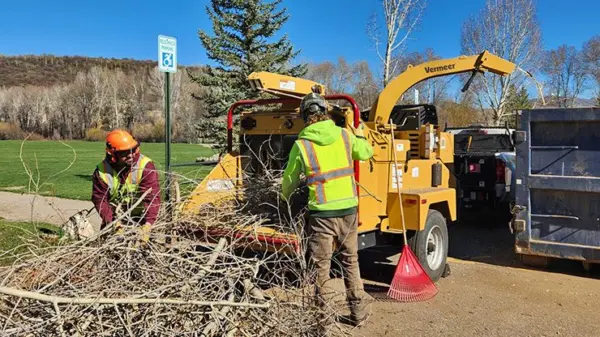 waste-diversion-year-end-newsslider