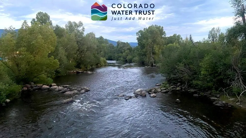 yampa_tony_1000x563