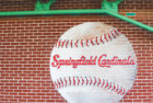 springfieldcardinalsstoryheader