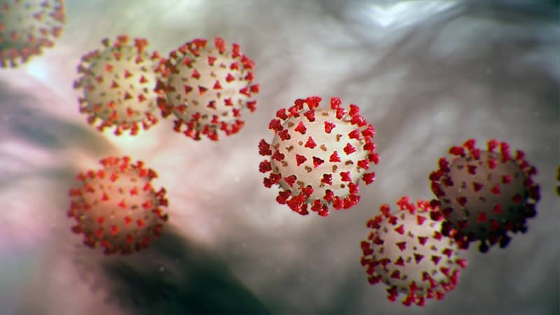 coronavirus-6