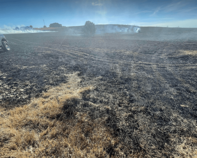 bolivar-grass-fire-kolr-photo-e1666240544529