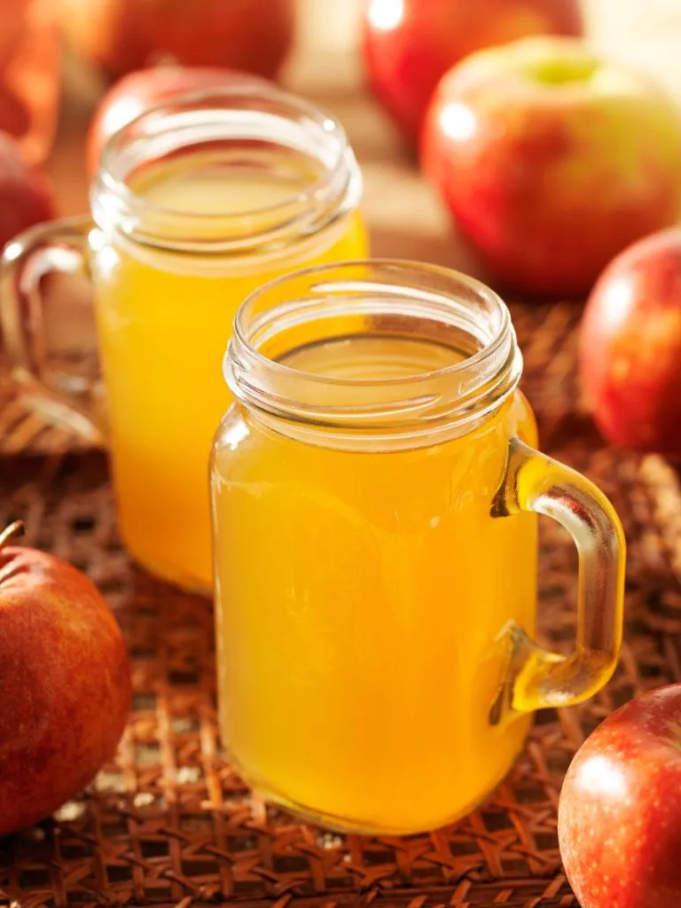 hot-apple-cider-in-mason-jars-768x1024663860-1