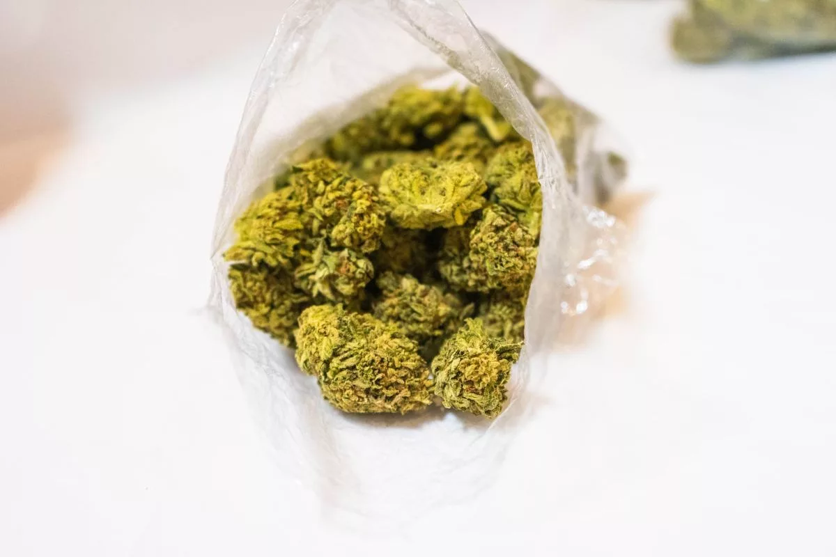 open-bag-of-weed-nugs306732