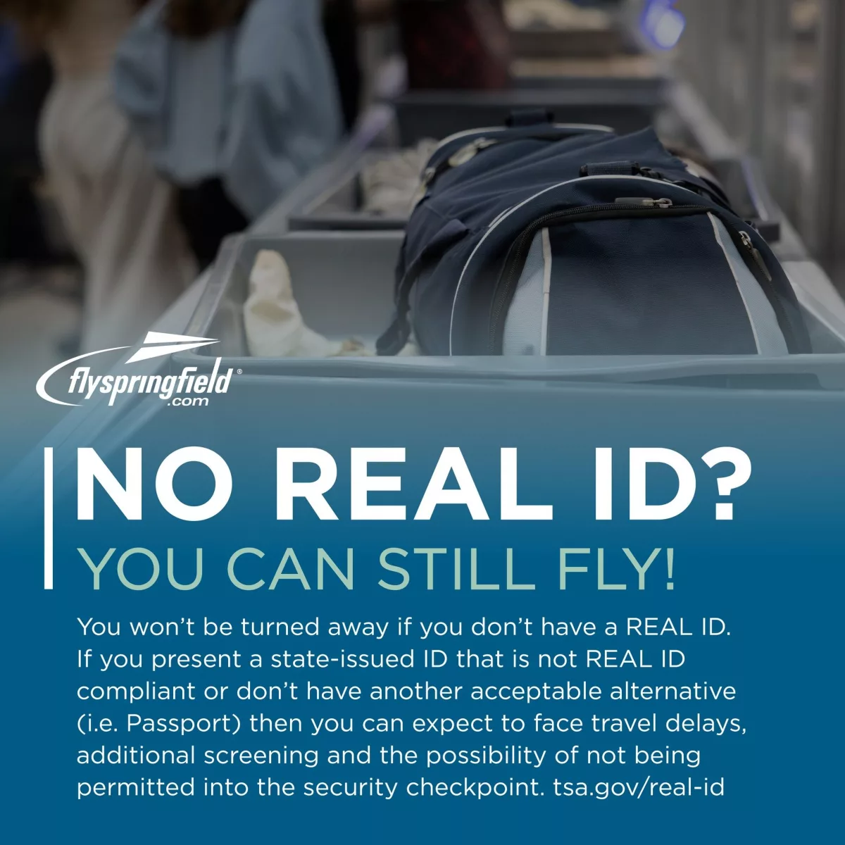 real-i-d744131