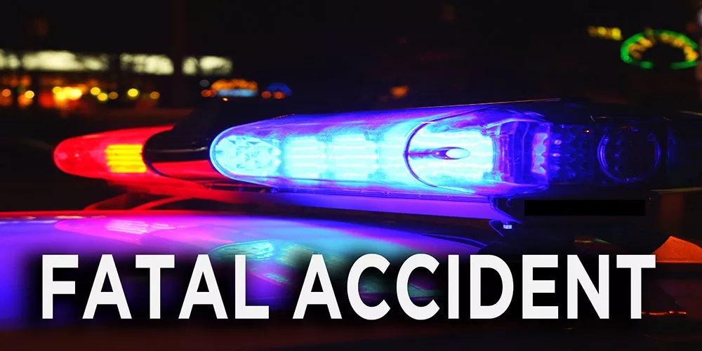 policelightsfatalaccidentweb178510