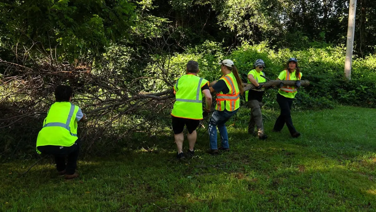 volunteers888513
