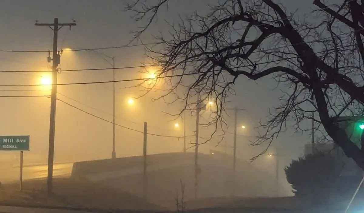 fog-on-chestnut-expw949076