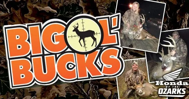 big-ol-bucks-logo-honda-of-the-ozarks-3
