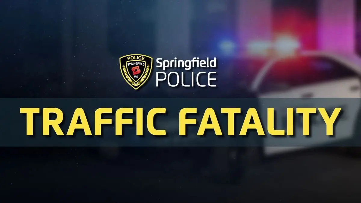 spd-traffic-fatality-graphic495929