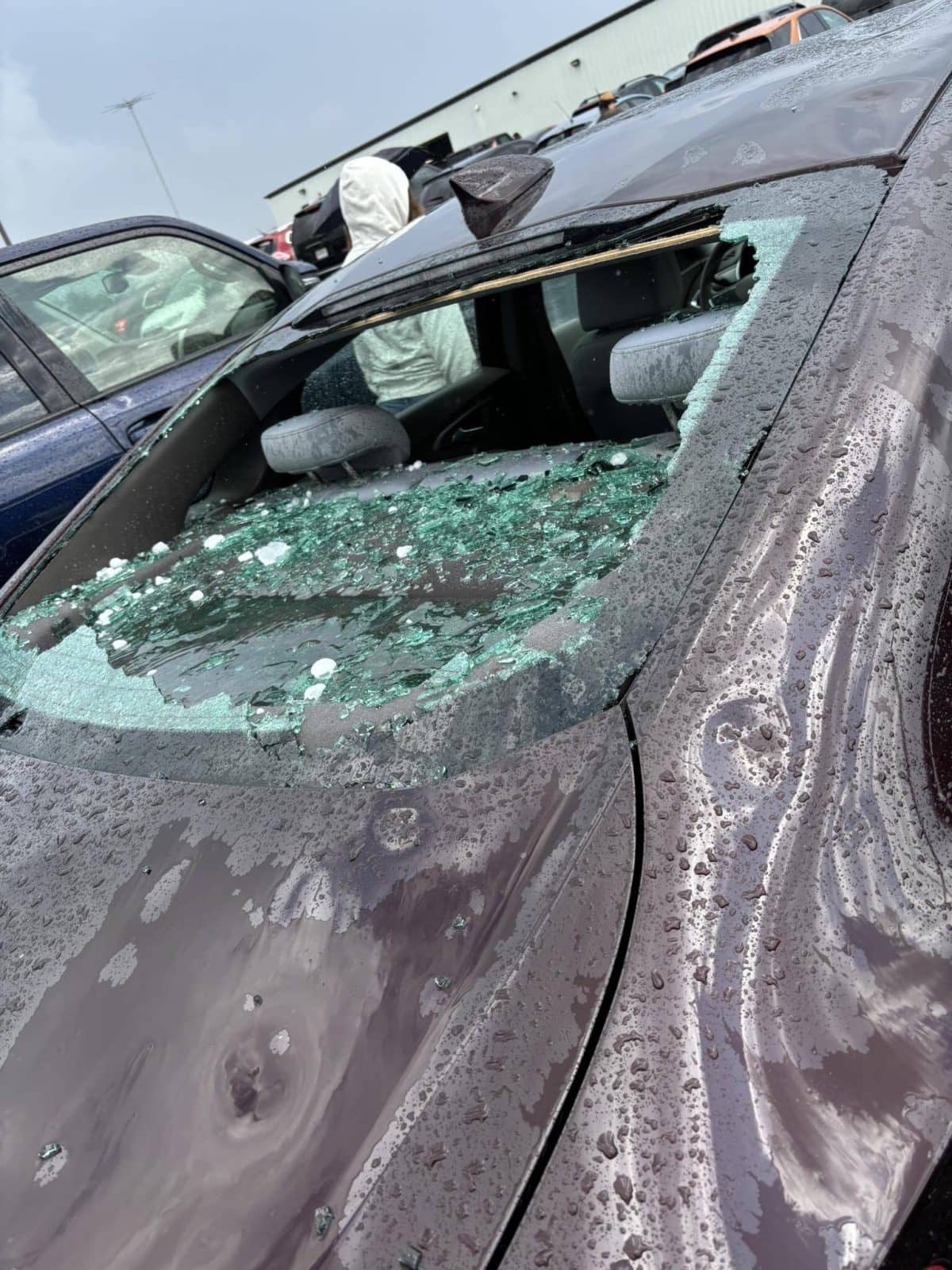 hail-damage-halltown111124