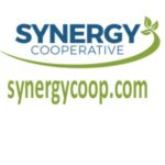 synergy-400x300