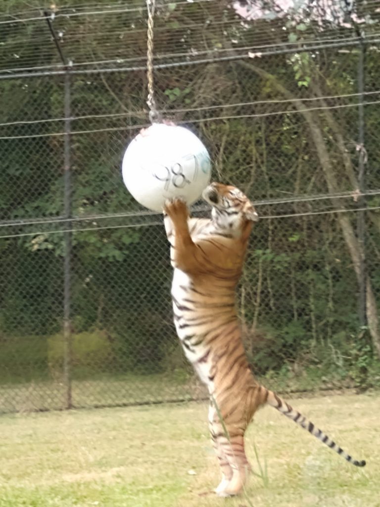 img_20210817_104549112-768x1024-1