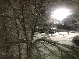 snow-in-springfield-1-25-23306081