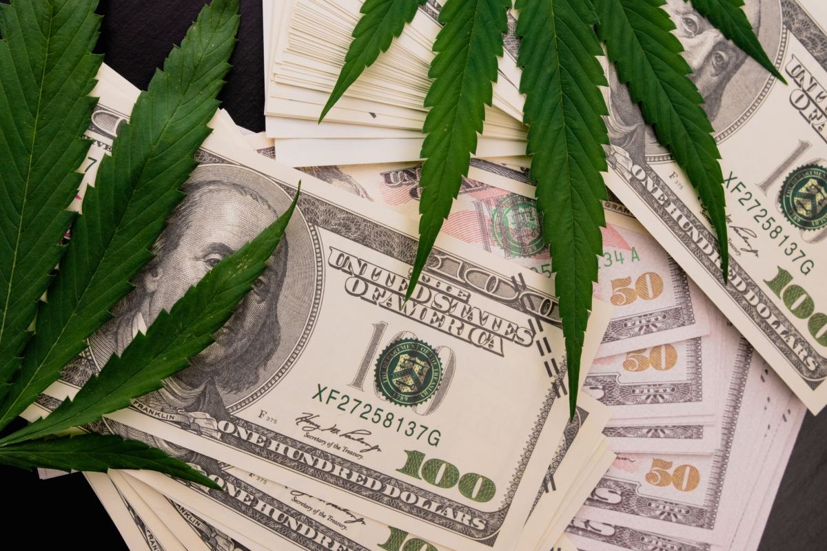 the-cannabis-plant-on-us-dollars-money-with-marijuana-leaves-222481